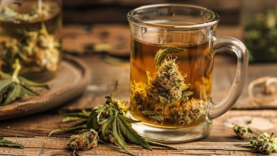 Découvrez les bienfaits des infusions au CBD sur cbd.fr