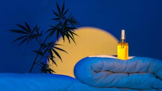 Les critères pour choisir l&rsquo;huile CBN de qualité