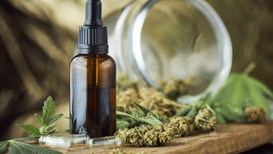 Les variétés de fleurs de CBD les plus appréciées
