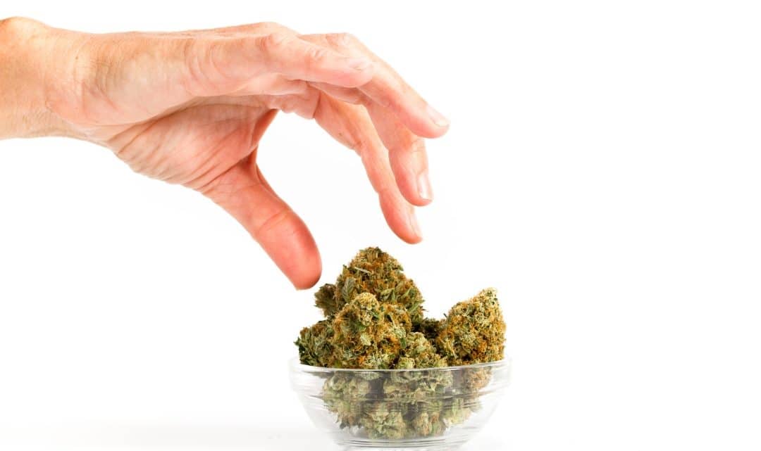 Pourquoi la qualité est essentielle dans le choix de produits CBD ?