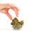 Pourquoi la qualité est essentielle dans le choix de produits CBD ?
