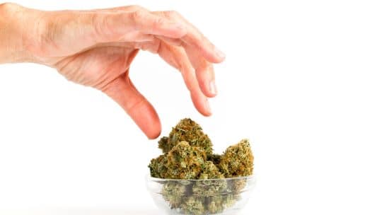 Pourquoi la qualité est essentielle dans le choix de produits CBD ?