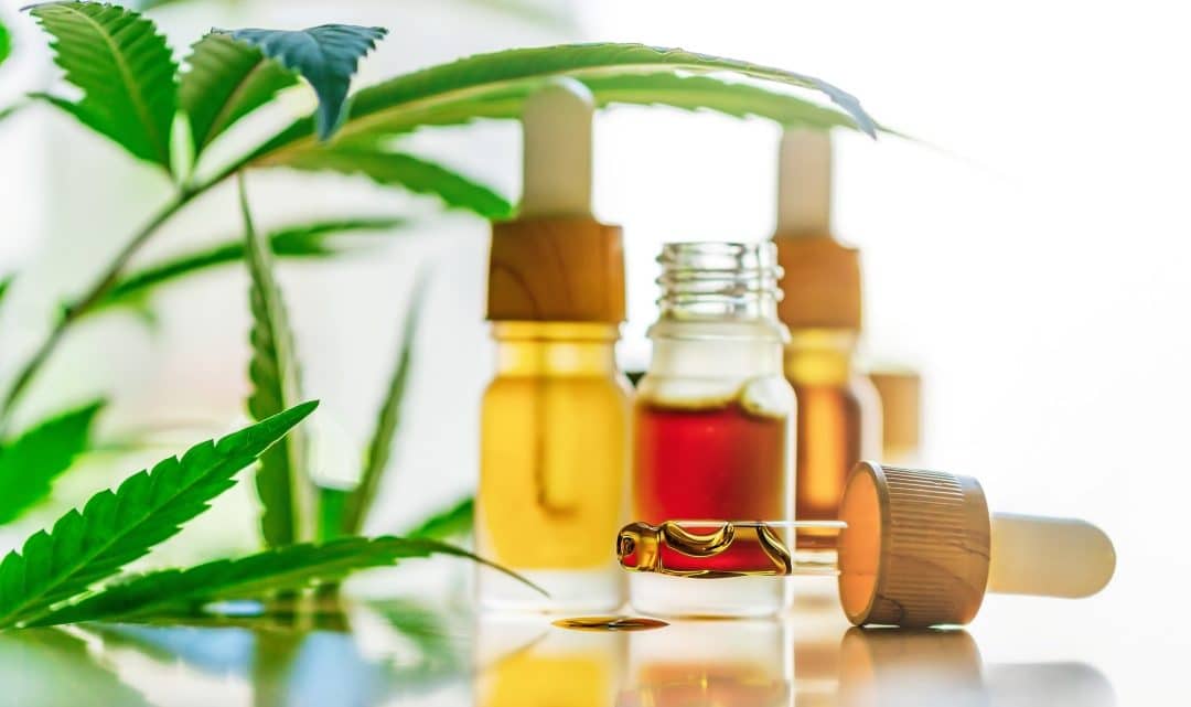 Choisir un produit à base de CBD adapté à ses habitudes de relaxation